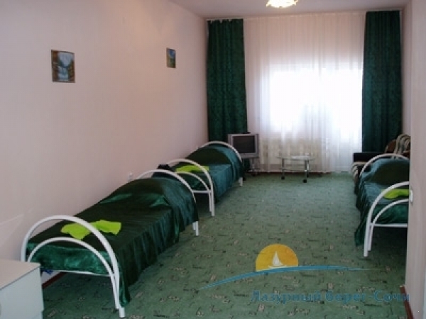 11.jpg